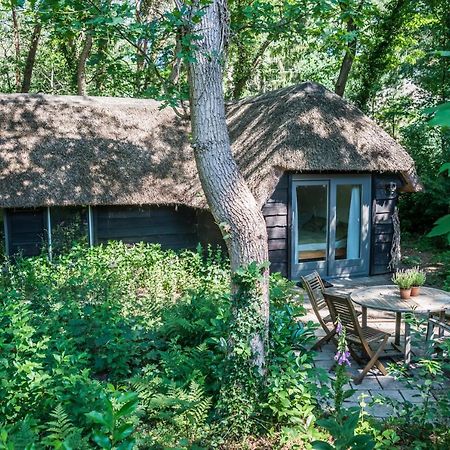 Aa Casia Vakantiehuis Zeegse Extérieur photo